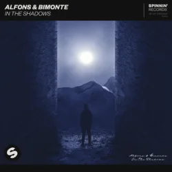 Alfons & BIMONTE - In the shadows