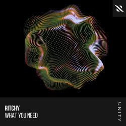 Ritchy - What You Need