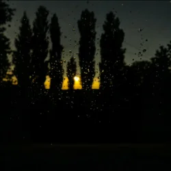 ALEKCION - � � ���