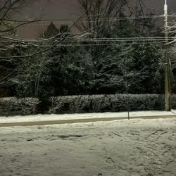 ALEKCION - �� ��������