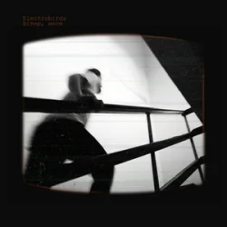 Electrobirds - ³���, ����