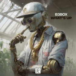 B3BOX - Whats Up