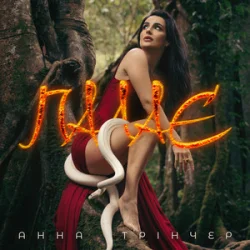 ���� ������ - ����