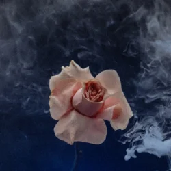 Valeriia Vovk - ��������