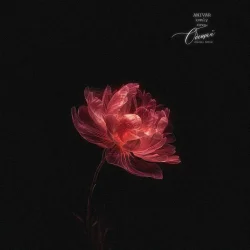 ������ (Kvmly & Zovo Kavkaz Remix)
