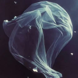 �?��� & ��� - ���� �����