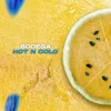Bodega - Hot N Cold