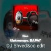 Ulukmanapo, BAPAY - Вес (DJ Shved&co EDIT)