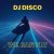 Обкладинка DJ Disco - We Can Fly