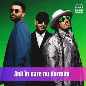  Smiley & Alex Velea & Connect-R. - Anii in care nu dormim (Speak Remix)