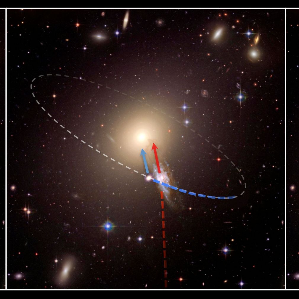  Spriticatcher - Galactik Flies