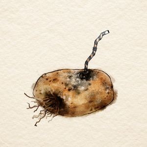  Sara Beth - Old Potatoes