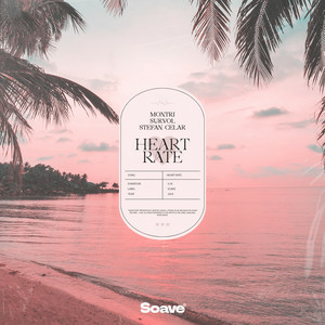  Montri & Survol - Heart Rate (feat. Stefan Celar)