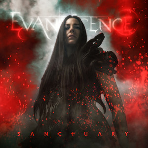 Cover Evanescence - Who Will You Follow