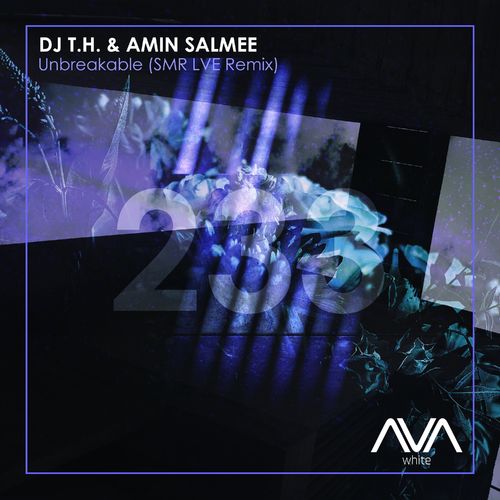 Cover DJ T.H & Amin Salmee - Unbreakable (SMR LVE Extended Remix)