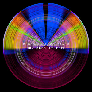 Cover Dubdogz & Fezzo & Zaark - How Does It Feel
