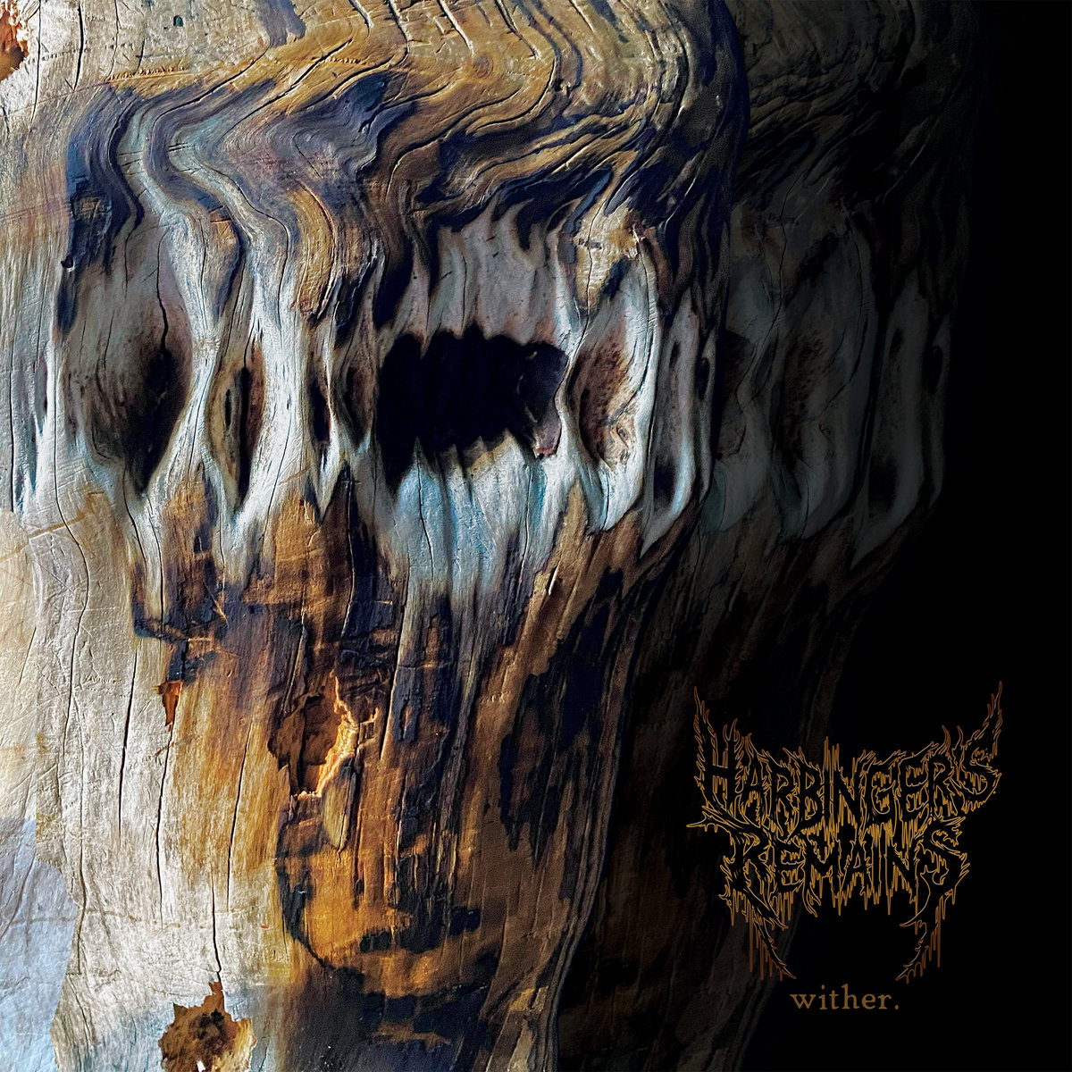 Cover Harbinger's Remains - Antarctica
