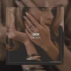 Cover DNDM - Never