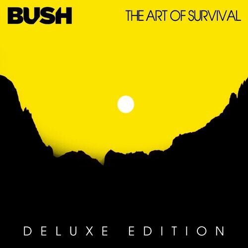 Cover Bush - More Than Machines