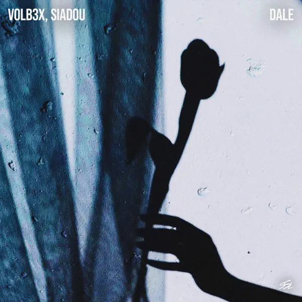 Cover VOLB3X & Siadou - Dale