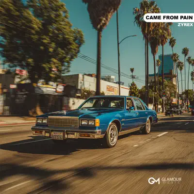Cover ZYREX - Came From Pain