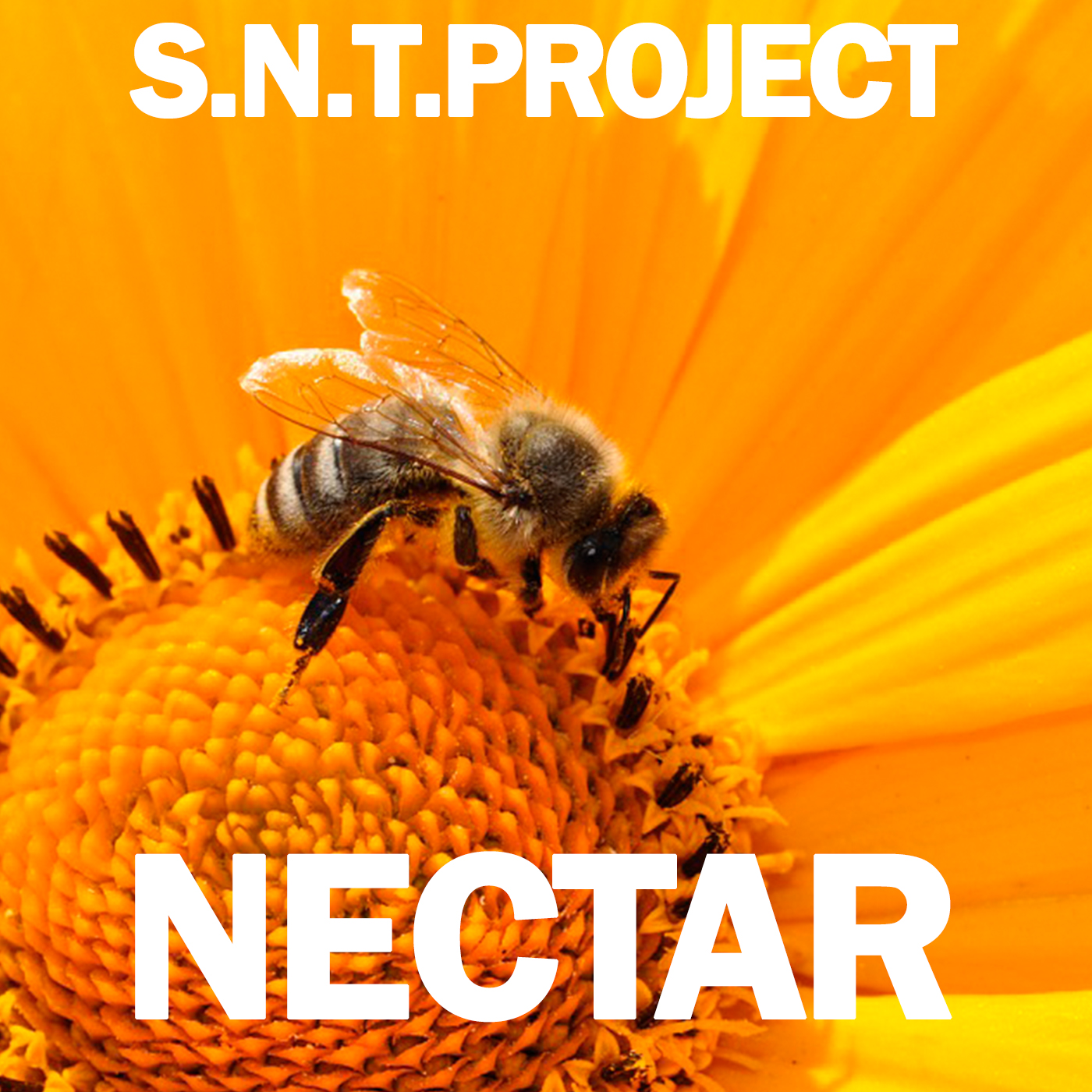 Обкладинка S.N.T.Project - Nectar