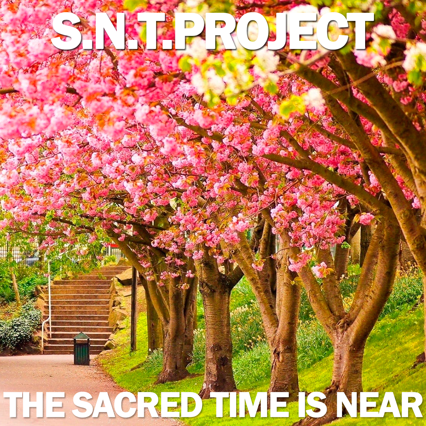 Обкладинка S.N.T.Project - The Sacred Time is Near