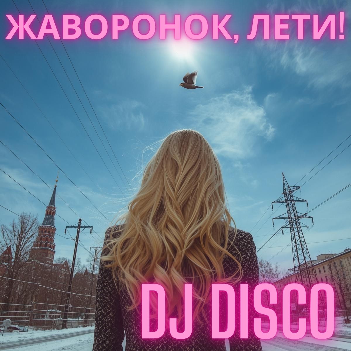 Обкладинка DJ Disco - Жаворонок