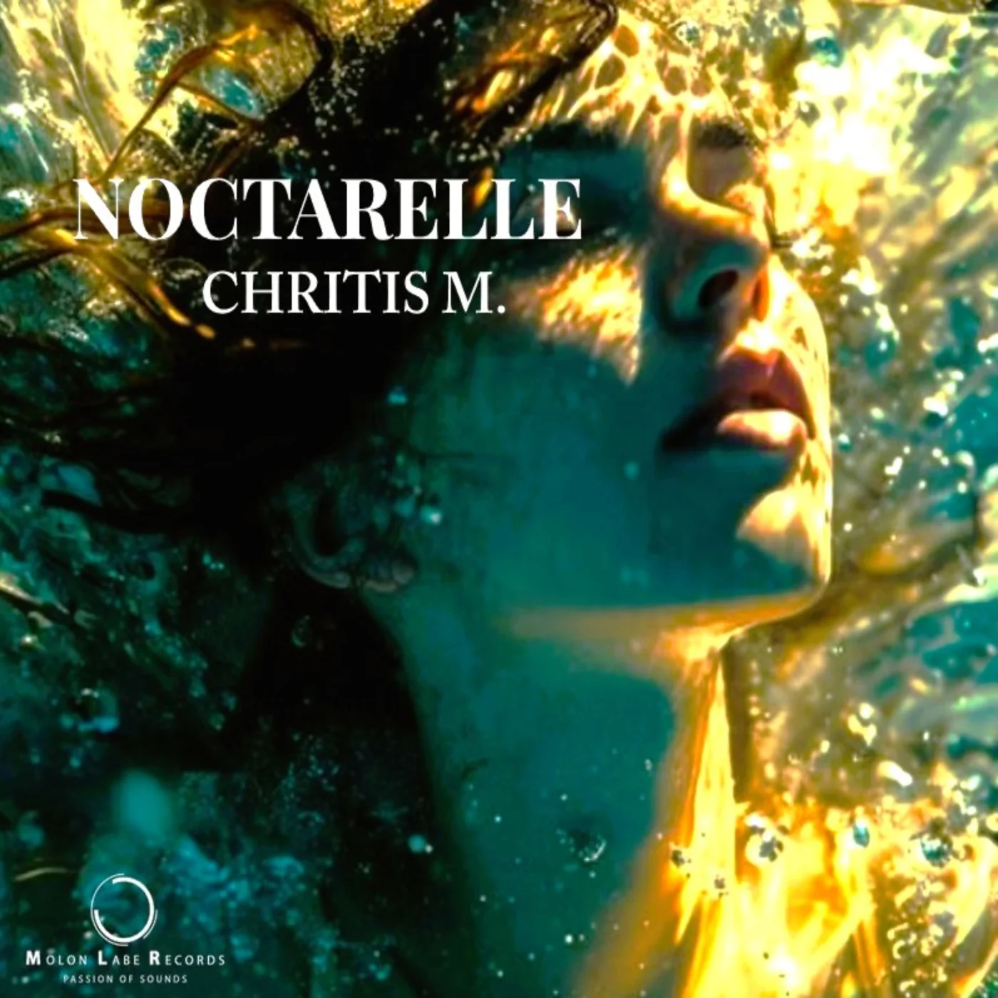 Cover Chritis M - Reverie (Original Mix)