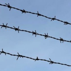 ���� � ���������