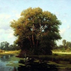 ������ - ���i�� ����� i ��i�