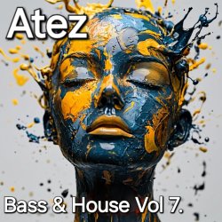 Bass House Vol7.