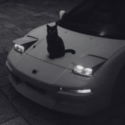 "not alone" (chill, wave vibe)