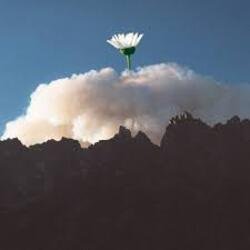 ������ �� ����� ����