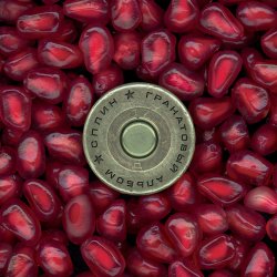 ����� - ������ ���