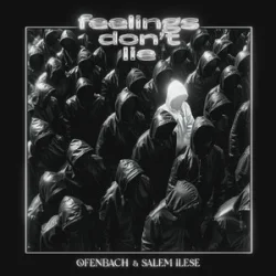 Ofenbach & Salem Ilese - Feelings Don't Lie