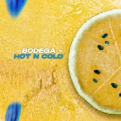 Bodega - Hot N Cold