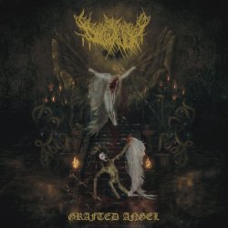 Dollhaver - Spitting Moths