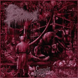 escam - Cranial Cement Injection