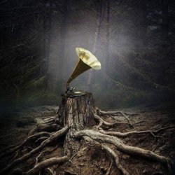 ����� ����������� - ����������� ���� (������ ���)