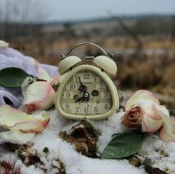 ����� ����