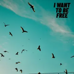 I Want To Be Free