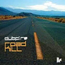 Roadkill (EDX�s Acapulco At Night Remix)