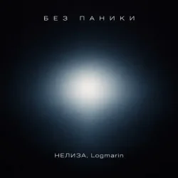 Обкладинка НЕЛИЗА & Logmarin - Без паники