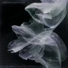 Krewella & MERCY. MERCY. MERCY. - Moondance