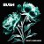 Cover Bush - The Land of Milk and Honey