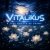 ViTaLiKuS - � ���� ������ �� �����