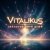 Обкладинка ViTaLiKuS - Звёздные нити души
