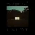 Cover Kovacs - A Perfect Crime