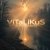 Обкладинка ViTaLiKuS - Безглагольность